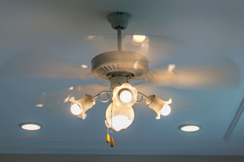 Ceiling Fan Installation in Conroe, TX